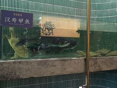 -鱼你相聚·河鲜馆(袁家岭店)