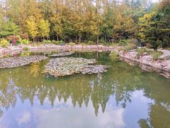 -和平公园