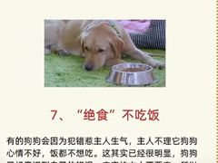 -宠物寄养训练学校