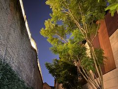 -闽江夜游台江旅游码头