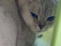 -美联众合动物医院·24h京西诊疗中心