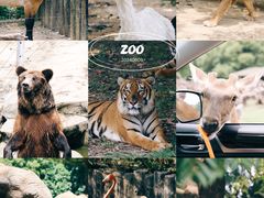 -常州淹城野生动物世界