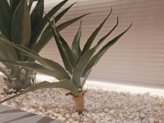 -兰湘子·湘菜小炒(崂山丽达店)