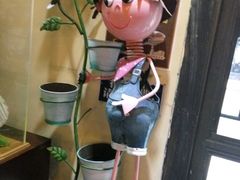 -五洲国际广场(文峰路店)