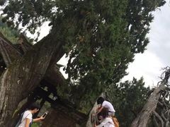 -云中大漈