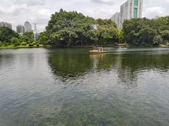-晓港公园