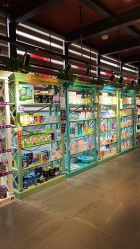 -保丽宝泰母婴护理院·月子中心·产康·中医(常州店)