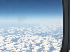 -纽瓦克自由国际机场