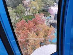 -汉堡王(海昌海洋公园店)