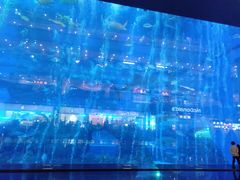 -成都浩海立方海洋公园