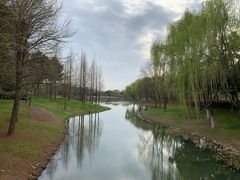 -尚贤河湿地