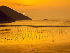 -北岐滩涂
