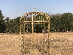 -合肥三国新城遗址公园