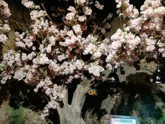-zoonana室内动物园(东方福来德店)
