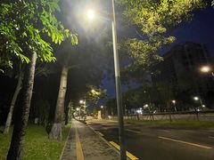 -深圳湾公园(南山区)