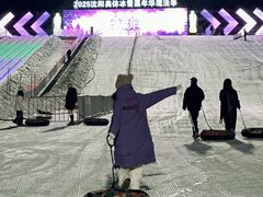 -沈阳奥体冰雪嘉年华