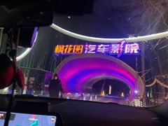 -枫花园汽车电影院(朝阳公园店)
