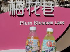 -上海浦东新区民办小白鸽幼儿园