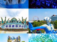 -上海海昌海洋公园