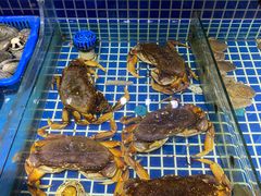 -必点海鲜·鲅鱼水饺(鞍山西道店)