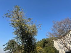 -东坡赤壁风景名胜区