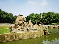-合肥野生动物园