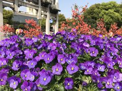 -荆川公园