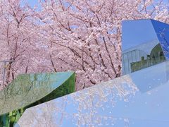 -龙美术馆(西岸馆)