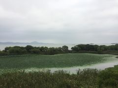 -上海市保健医疗中心(华东疗养院)