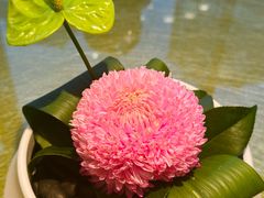 -上海总会SHANGHAICLUB(兴业太古汇店)