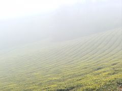 -敬亭山风景名胜区