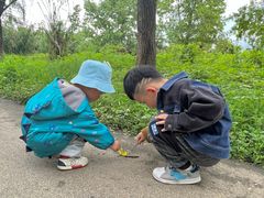 -白鹭湾湿地公园