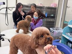 -北京观赏动物医院·24小时大型综合·猫专科·异宠专科