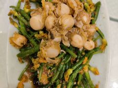 黄瓜花拌扇贝-双井轩(双井店)