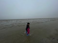 -北海金海湾红树林生态旅游区