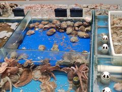 -映像威海·海鲜味道(经区店)