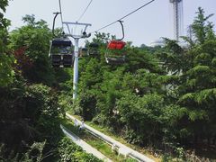 -富斯特索道