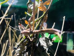 -上海海洋水族馆