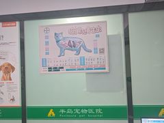 -半岛宠物医院24小时(科华中路店)