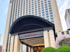 -济南喜来登酒店