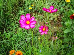 -白鹭湾湿地公园