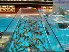 -艳阳天·非遗楚菜(武汉客厅店)