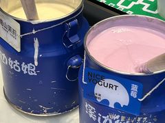 -溪边姑娘·拉丝酸奶水果捞(春熙路店)