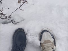 -武陵山森林公园