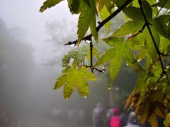-莫干山风景区