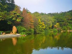 -云溪植物园