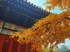 -红螺寺