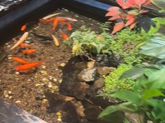 -隐炉和牛烧肉店(群力店)