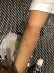 -幻贝家儿童乐园(杭州远洋乐堤港店)
