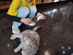 -庆泰顺